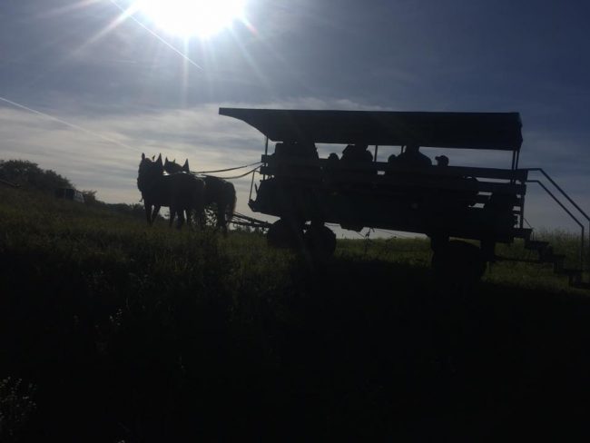 23031142_1836342653061365_3612380426740530110_n